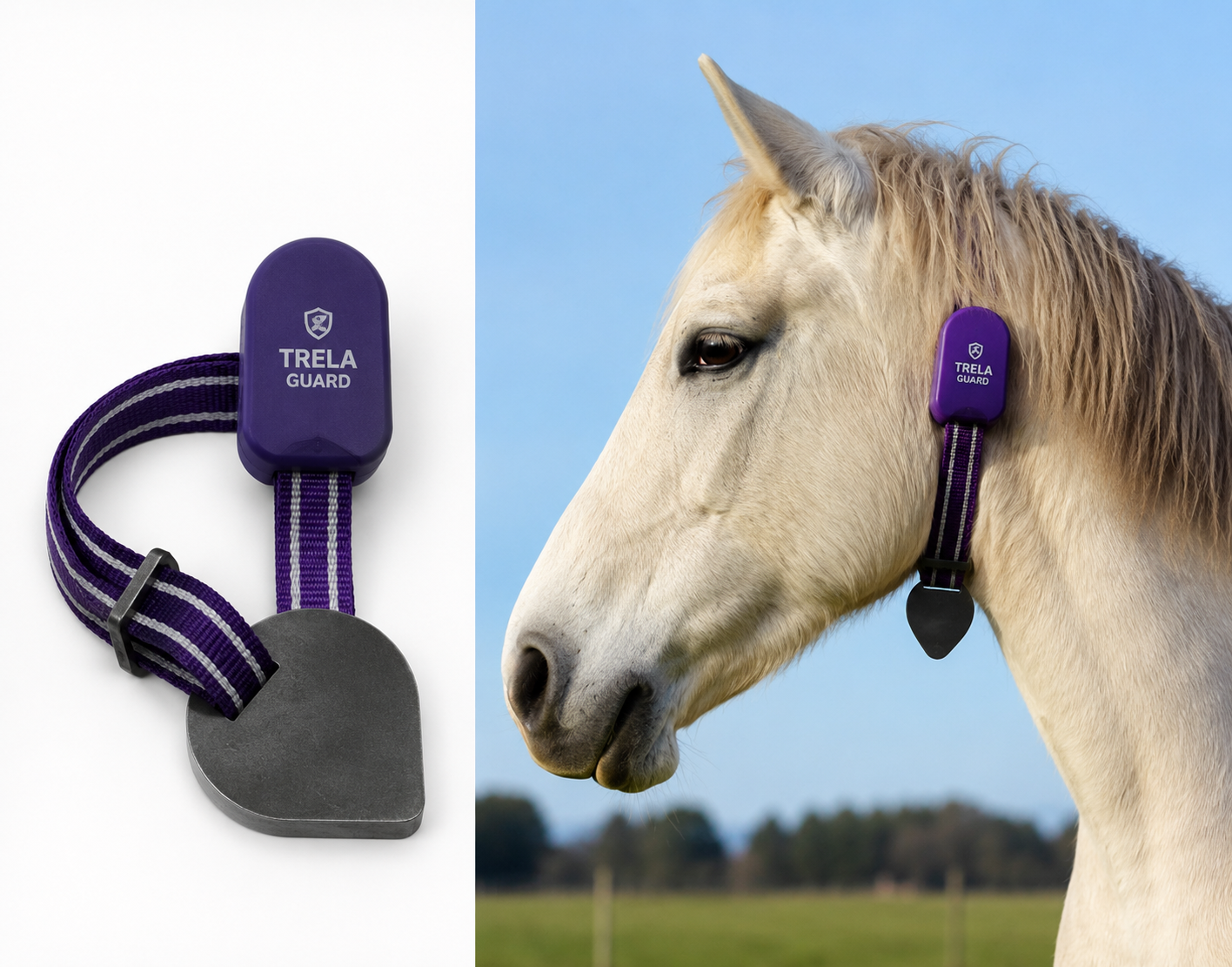 A TRELA Guard collar on its strap, and the same collar on a horse in a field.